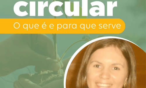 Economia Circular – O que é e para que Serve?